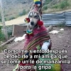 🍃🐶🧿 Perro Chamán 🧿🐶🍃 5