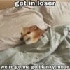 Meme dogs 21