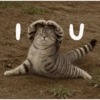 Hehehe 16
