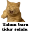 Tahun baru tidur selalu
