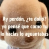 💥Chat Meme Collection💎🔝 2 9