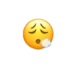 Emoji iPhone  18