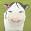 Sion Cow Meme Sapi 6