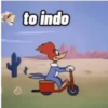 PICAPAU 5