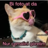 Bi foto at da @miawlabakim Nur cemalini görelim