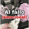 Gym al fallo ❌ 6