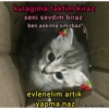 kulagima taktim kiraz seni sevdim biraz ben askinla sihirbaz evlenelim artik yapma naz wlabakim