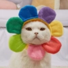 Kucing Cosplay 8