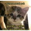 gunese gerek yok @miawlabakim gozlerin zaten icimi isitivor askim <3