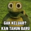 Tahun Baru meme 7