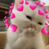 💞💖 AMOR 7 💖💞 11