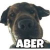 PERRITO CUTE 21