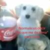 Normalicen decir Coca s que me da rena" para todo