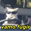 Só ironia 😗 15