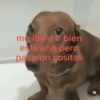 me iba a ir bien este año pero pasaron cositas ช