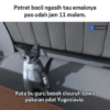 Meme twit  18