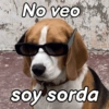 Reacciones Perrunas 2🐶✨ 5