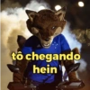 Cruzeiro {é o CABULOSO} 🐺 12