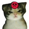 🌈🐈‍⬛✨️Gatos Funny Mood✨️🐈‍⬛🌈 19