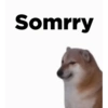 Doge 😛 17