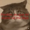 Perdones q qu mamino me dejd