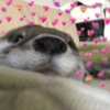 🧋🌸 AMORCITO 💕💘 5