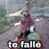 te fallé