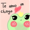 Te le amo chingo un 1/1 1/1