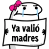🌈 Flork Frases 4 🧦 18