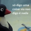 REAÇÕES DO PINGU 13