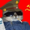 Funny cat 🐈🐈 12