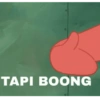 TAPI BOONG