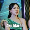 Meme JKT48  24