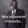 Stickers pal grupo🫂😂 9