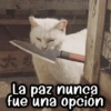 大业 La paz nunca fue una opción