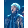 V bts 13