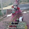 🍃🐶🧿 Perro Chamán 🧿🐶🍃 17