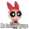 Bombón fangirl 3.0 15