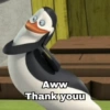 Meme Penguin (2) 16