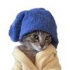 🌈🐈‍⬛✨️Gatos Funny Mood✨️🐈‍⬛🌈 17