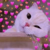 🧋🌸 AMORCITO 💕💘 9