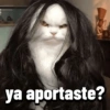 Gatos Pal grupo👑 7
