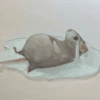 Pinturas de memes animalitos🤎 15