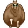 Caballo gordo random 🐴 5
