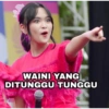 WAINI YANG DITUNGGU TUNGGU