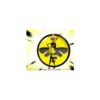 Miraculous ladybug 15