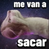 Gatos Pal grupo👑 6