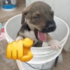 DAY