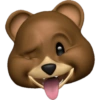 Emoji iphone brown  17