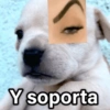 Y soporta